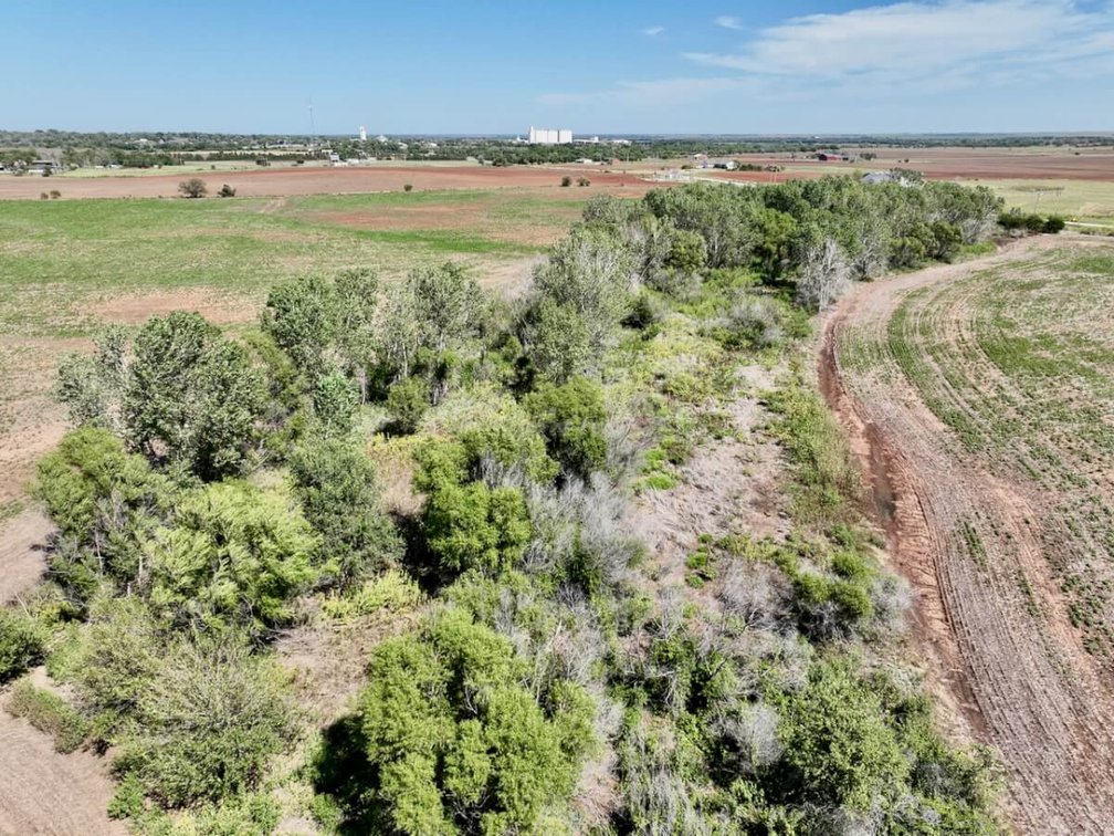 120+- Acres South of Conway Springs in Sumner County, Kansas photo 4