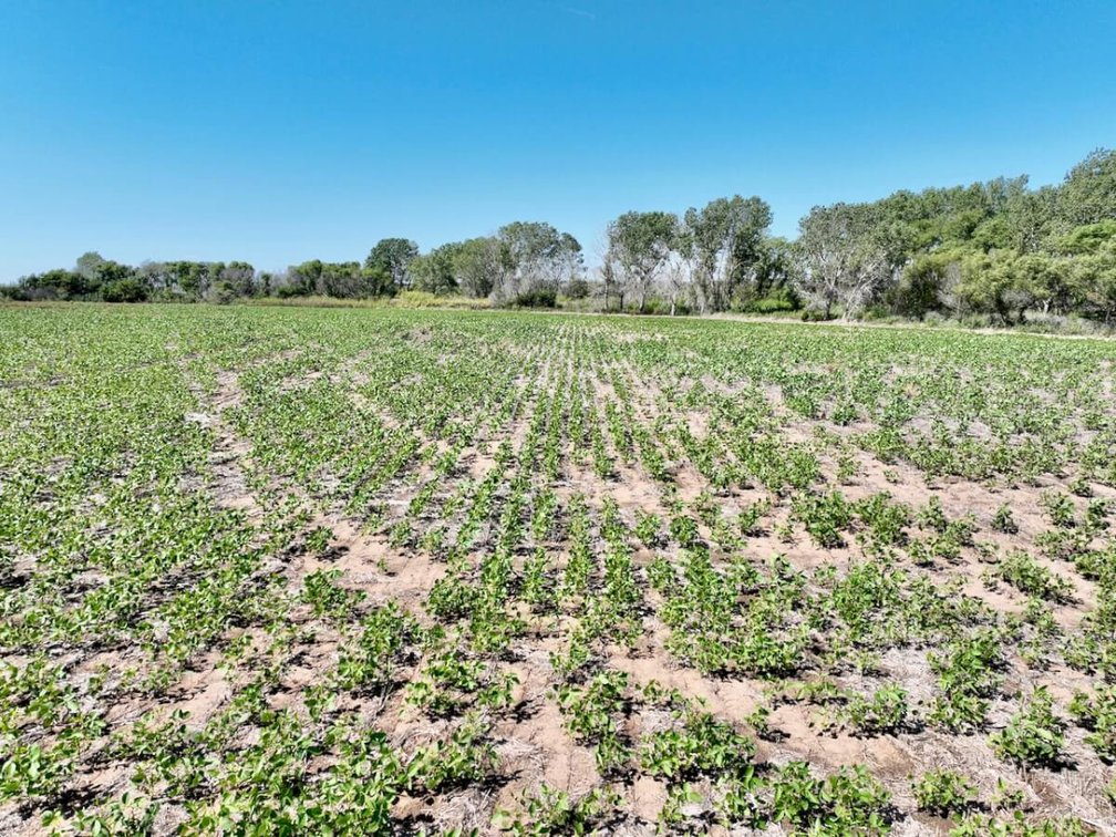120+- Acres South of Conway Springs in Sumner County, Kansas photo 5