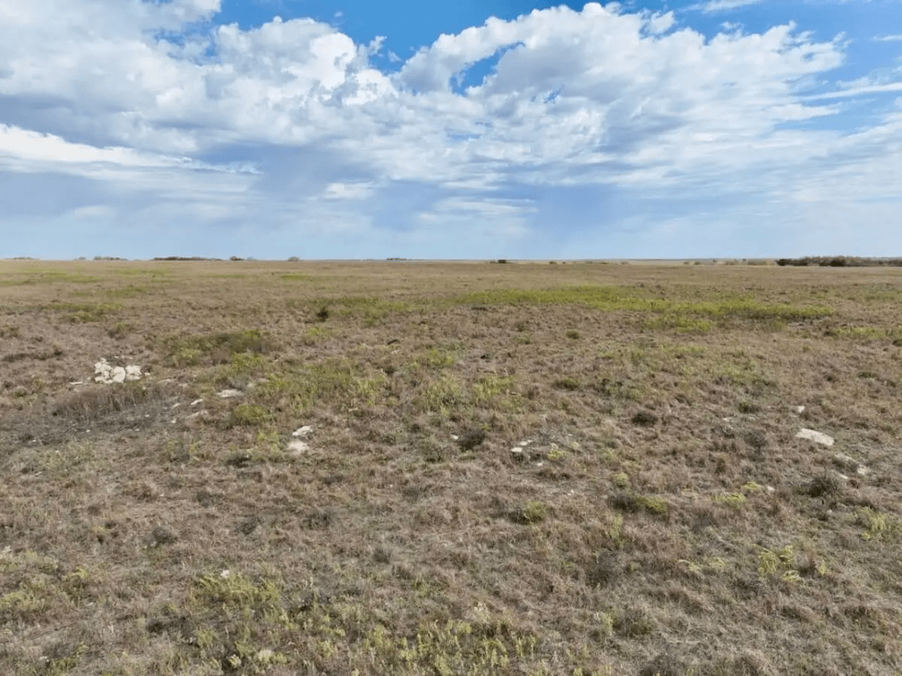 240+- Acres Flint Hills Pasture Between Cassoday and Burns in Butler County, Kansas photo 10