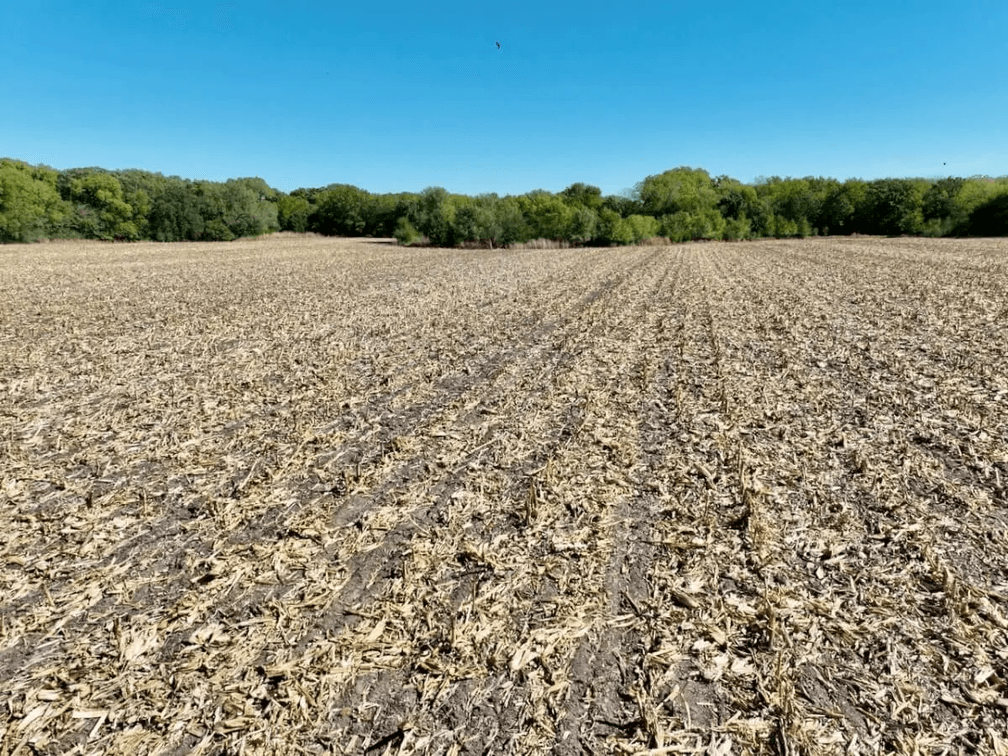 20 Acres Southeast of Andover, Kansas – Pond, Trees, Farm Ground & Utilities photo 7