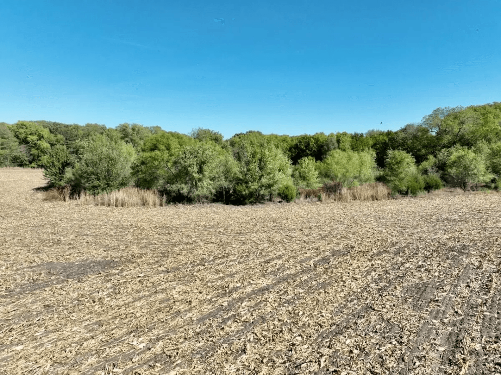 20 Acres Southeast of Andover, Kansas – Pond, Trees, Farm Ground & Utilities photo 9