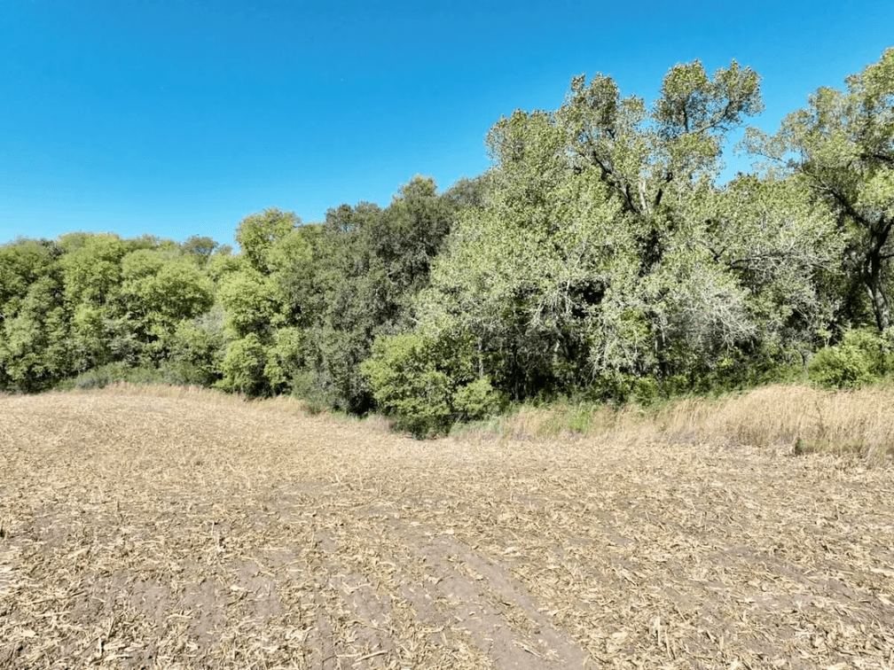 20 Acres Southeast of Andover, Kansas – Pond, Trees, Farm Ground & Utilities photo 10
