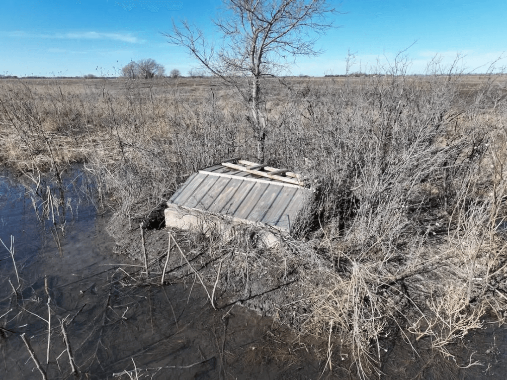 Patterson Kansas Duck Marsh – 160 Acres, North of Mount Hope in Harvey County, Kansas photo 5