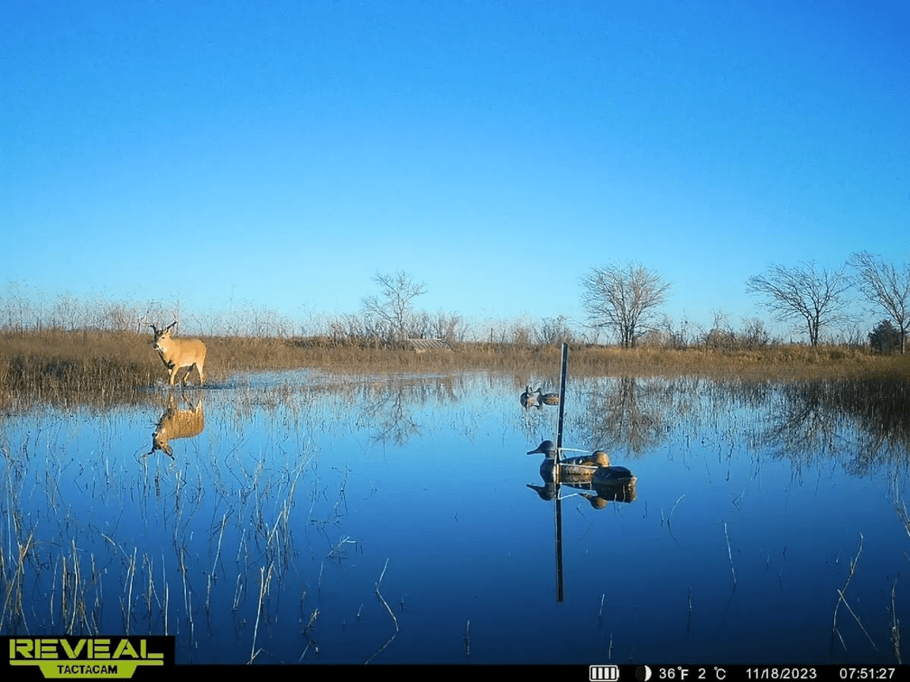 Patterson Kansas Duck Marsh – 160 Acres, North of Mount Hope in Harvey County, Kansas photo 7