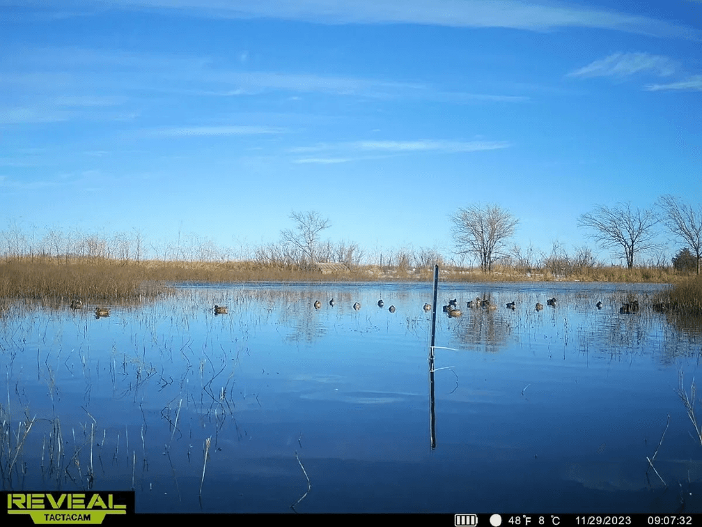Patterson Kansas Duck Marsh – 160 Acres, North of Mount Hope in Harvey County, Kansas photo 8