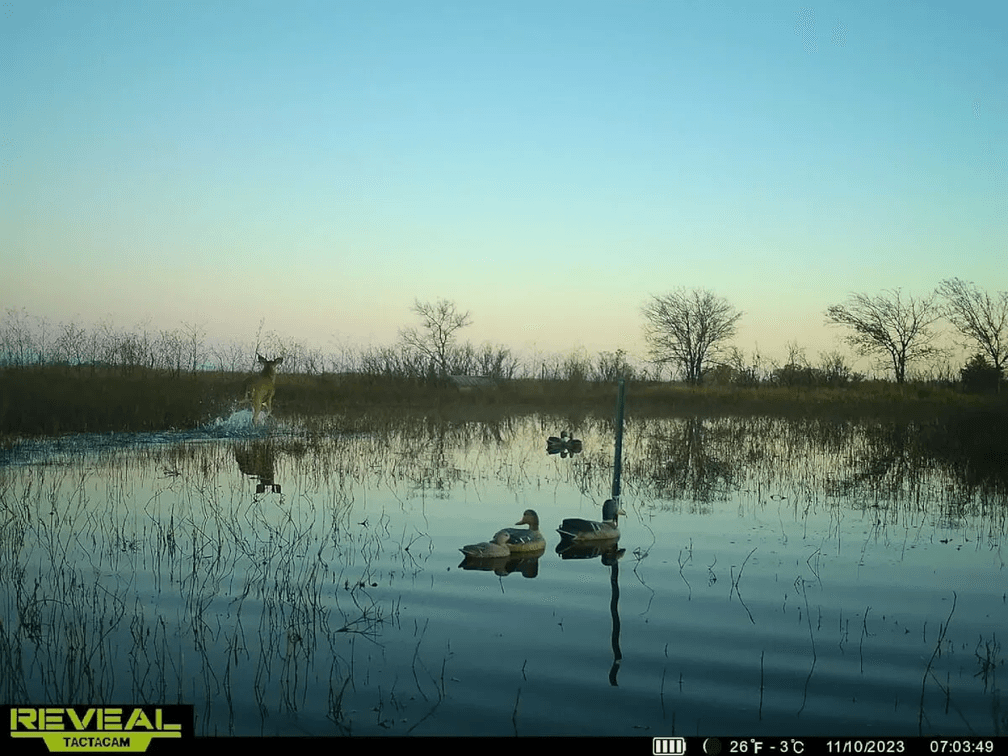 Patterson Kansas Duck Marsh – 160 Acres, North of Mount Hope in Harvey County, Kansas photo 10
