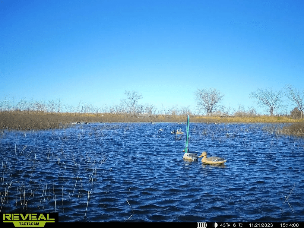 Patterson Kansas Duck Marsh – 160 Acres, North of Mount Hope in Harvey County, Kansas photo 9