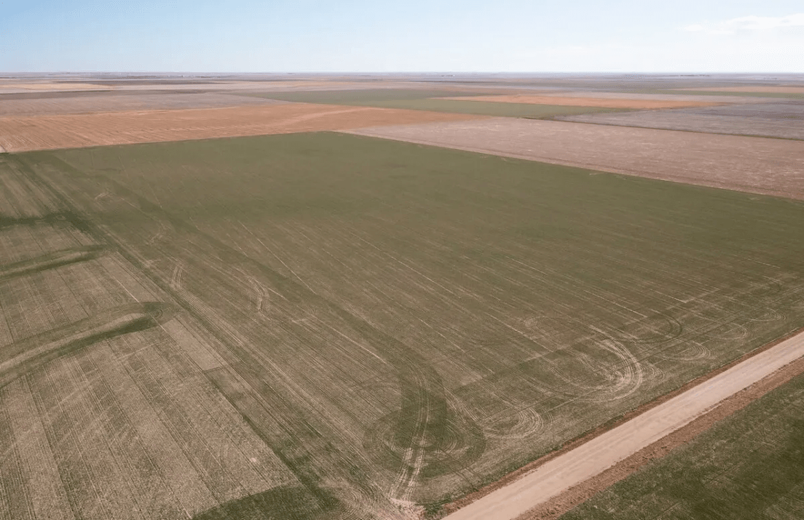 148 Acres of Tillable Farm Ground Southwest of Scott City in Scott County, Kansas photo 1