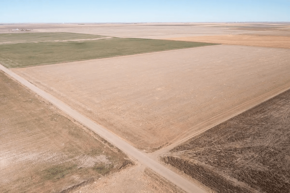148 Acres of Tillable Farm Ground Southwest of Scott City in Scott County, Kansas photo 2