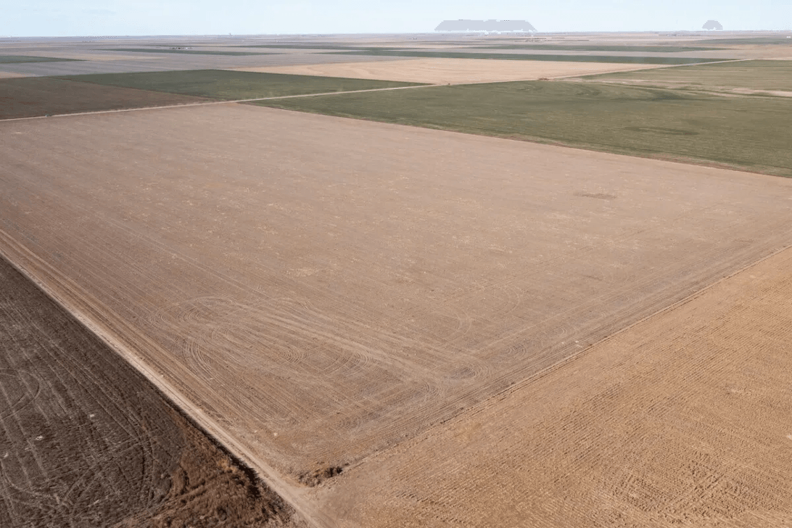 148 Acres of Tillable Farm Ground Southwest of Scott City in Scott County, Kansas photo 3