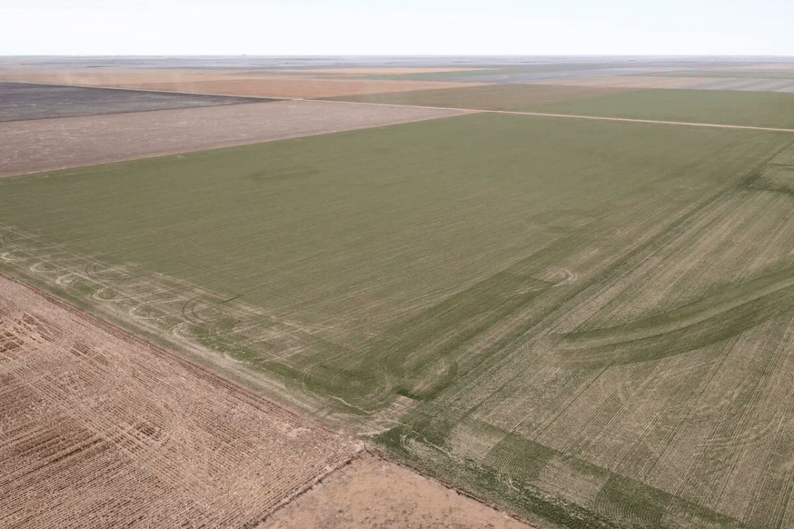 148 Acres of Tillable Farm Ground Southwest of Scott City in Scott County, Kansas photo 4