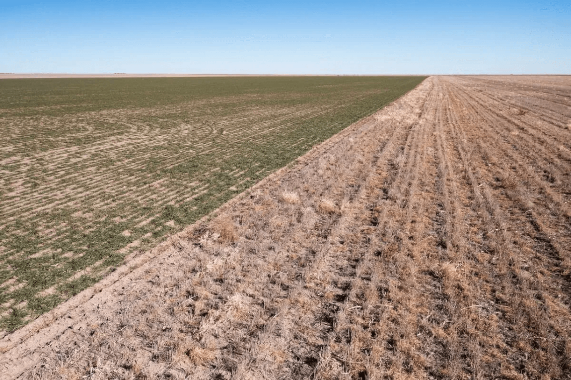 148 Acres of Tillable Farm Ground Southwest of Scott City in Scott County, Kansas photo 5