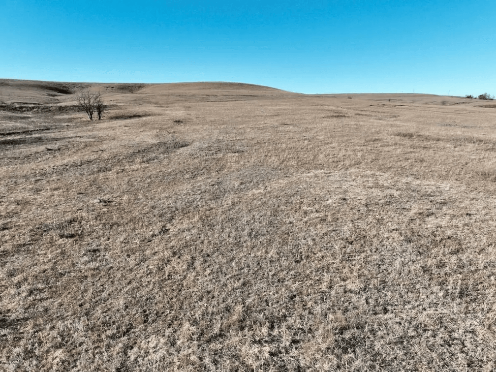 155.6 Acres of Scenic Native Flint Hills Pasture North of Eureka, Greenwood County, Kansas photo 4