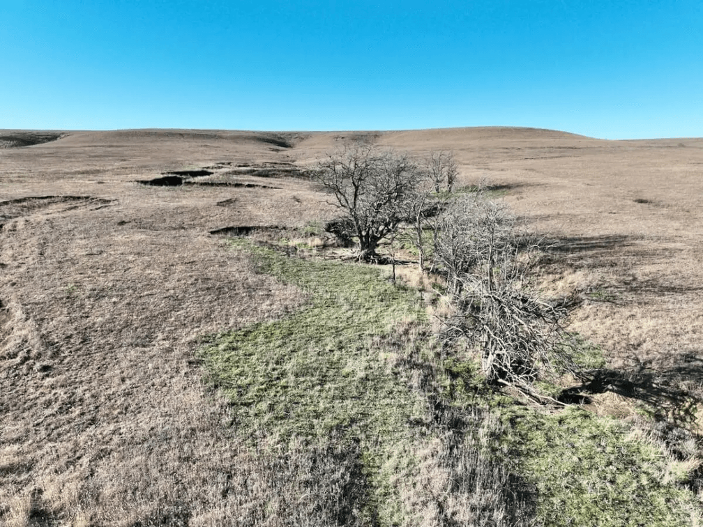 155.6 Acres of Scenic Native Flint Hills Pasture North of Eureka, Greenwood County, Kansas photo 5