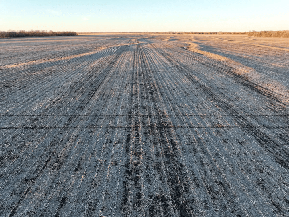80+- Acres Butler County, Kansas Tillable Land For Sale Near Whitewater and Elbing photo 2