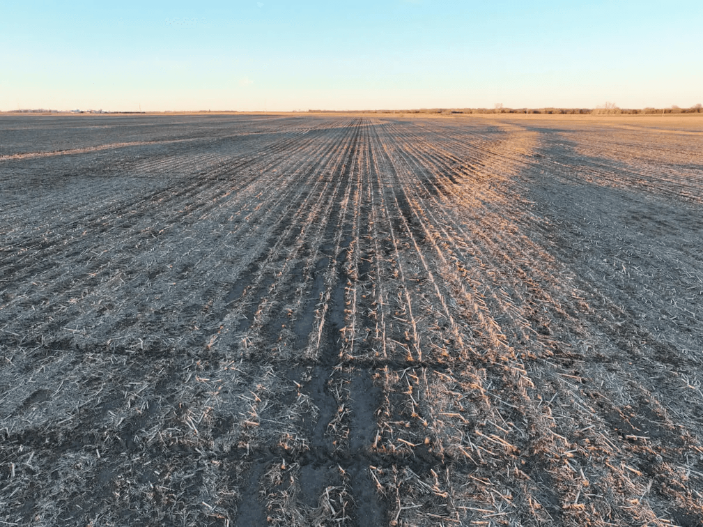 80+- Acres Butler County, Kansas Tillable Land For Sale Near Whitewater and Elbing photo 3