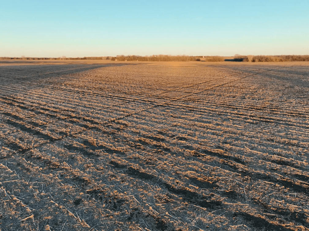 80+- Acres Butler County, Kansas Tillable Land For Sale Near Whitewater and Elbing photo 4
