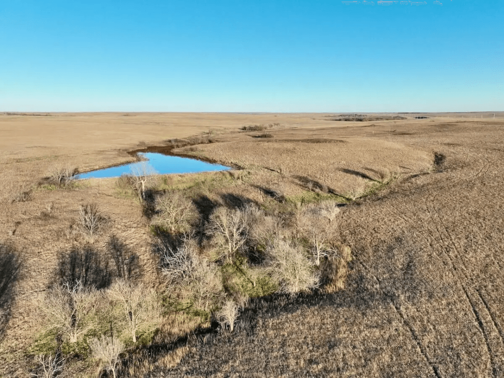 76 Acres, Large Pond, Timber & Flint Hills Pasture – Greenwood County, KS photo 4