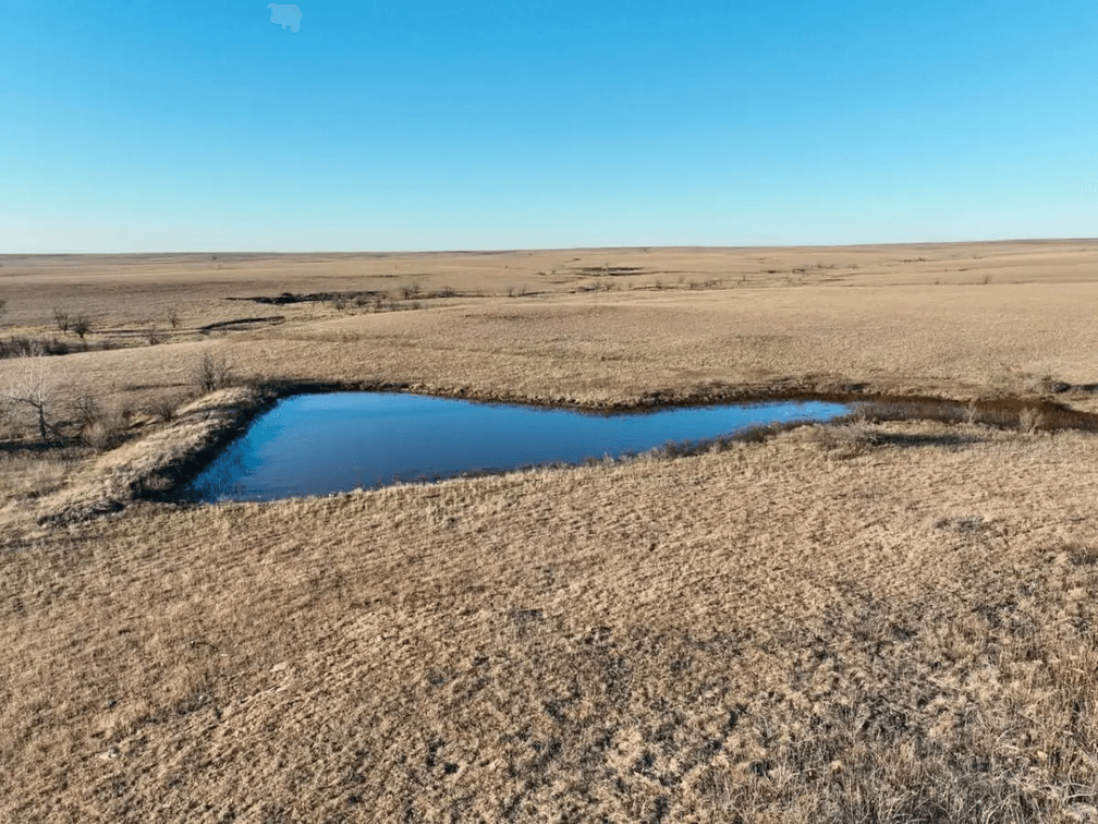 76 Acres, Large Pond, Timber & Flint Hills Pasture – Greenwood County, KS photo 5