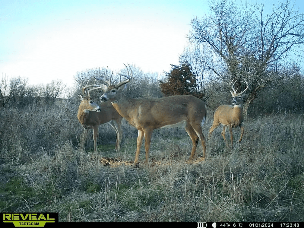 76 Acres, Large Pond, Timber & Flint Hills Pasture – Greenwood County, KS photo 6