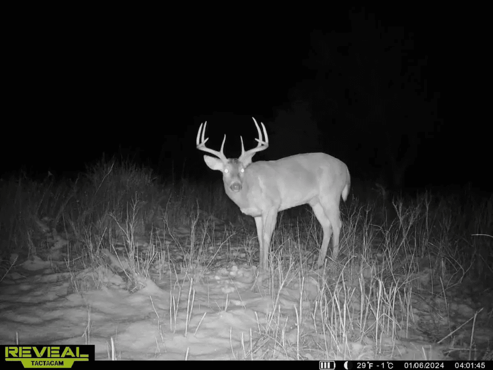 76 Acres, Large Pond, Timber & Flint Hills Pasture – Greenwood County, KS photo 9