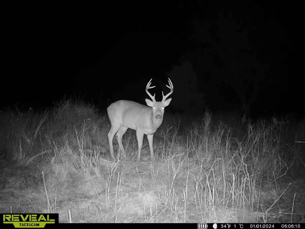 76 Acres, Large Pond, Timber & Flint Hills Pasture – Greenwood County, KS photo 10