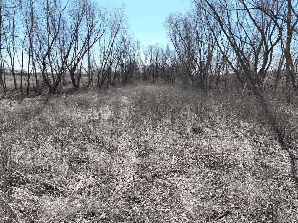 6.6 Acres Between Augusta and Douglass in Butler County Kansas photo 3
