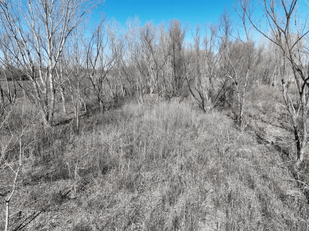 6.6 Acres Between Augusta and Douglass in Butler County Kansas photo 4