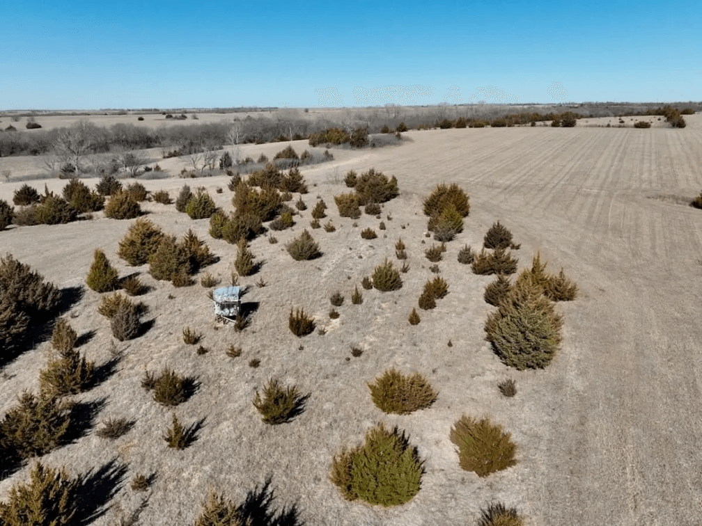 60+- Acres Butler County, Kansas Land Between Leon and Atlanta photo 7