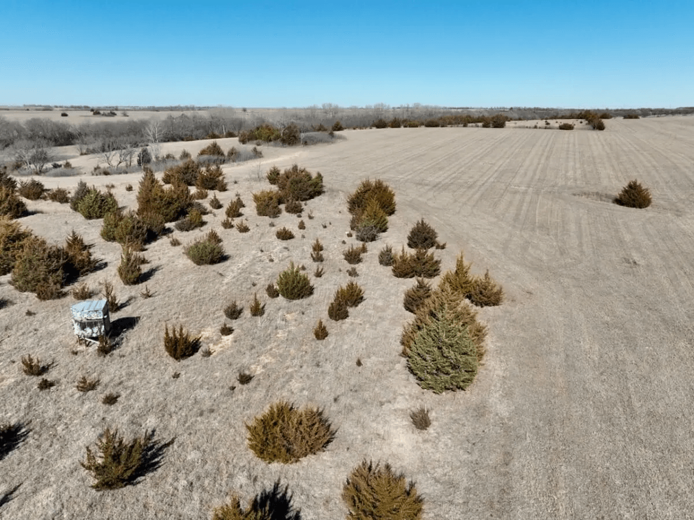 60+- Acres Butler County, Kansas Land Between Leon and Atlanta photo 8
