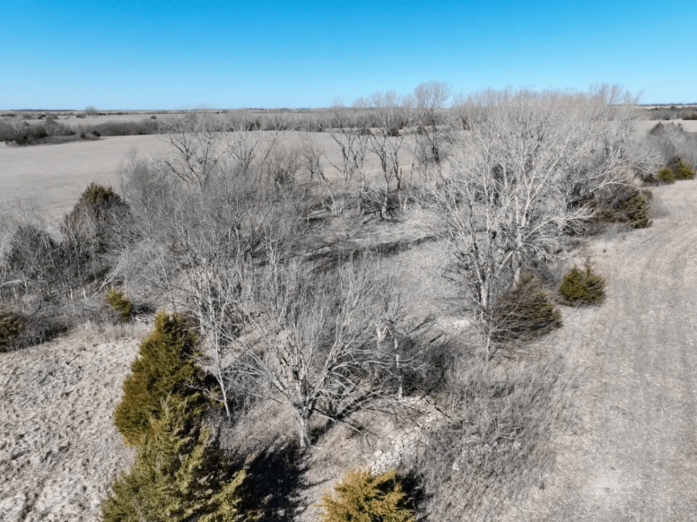 60+- Acres Butler County, Kansas Land Between Leon and Atlanta photo 9