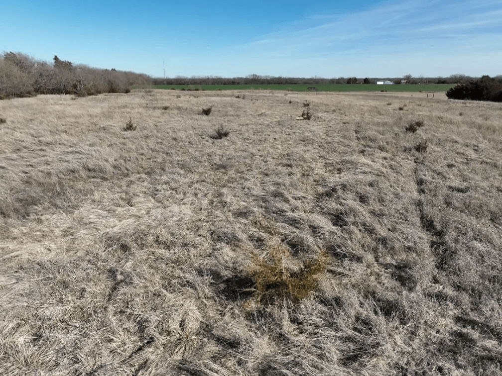 10+- Acres Southeast of Derby, Kansas on Greenwich Rd photo 8