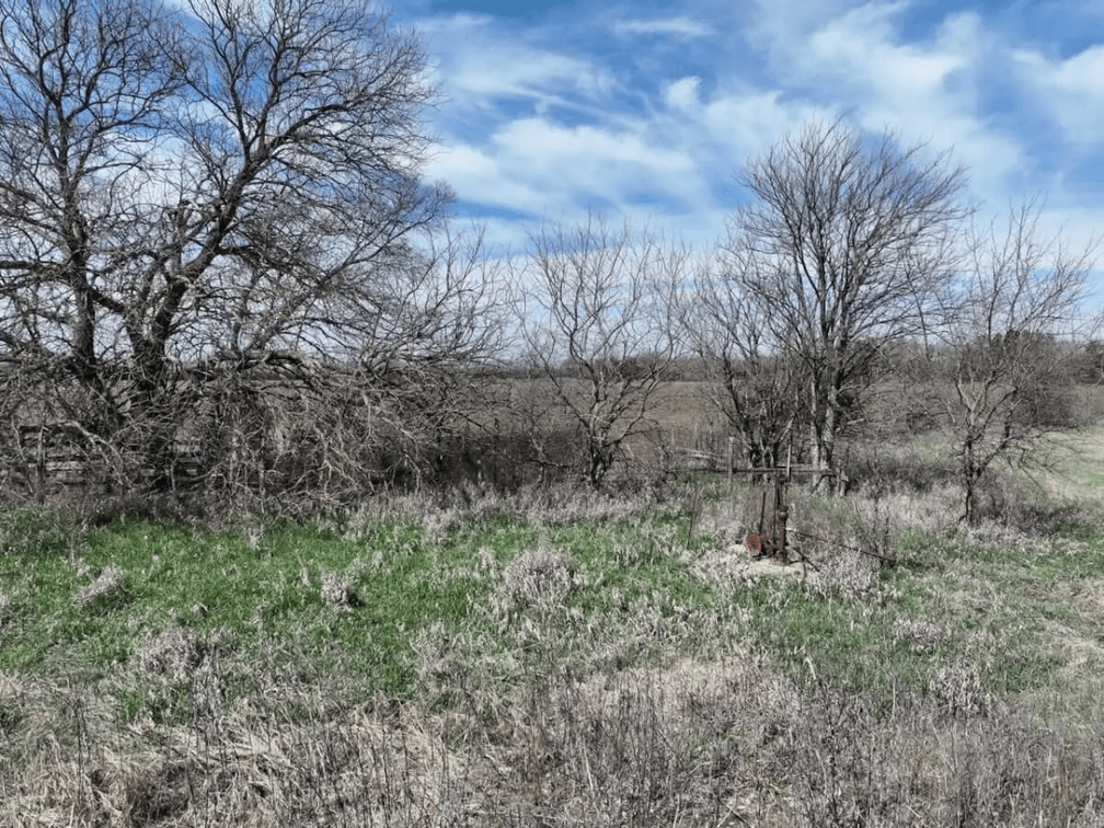 153.2 Acres Butler County, Kansas Land Between El Dorado & Augusta photo 5