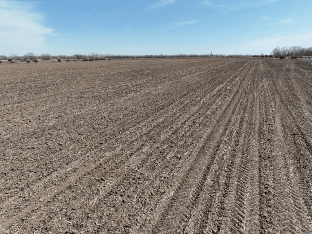 153.2 Acres Butler County, Kansas Land Between El Dorado & Augusta photo 4