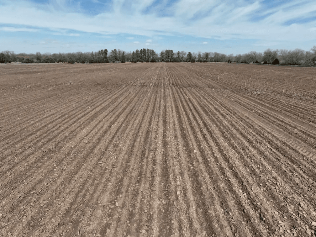153.2 Acres Butler County, Kansas Land Between El Dorado & Augusta photo 9