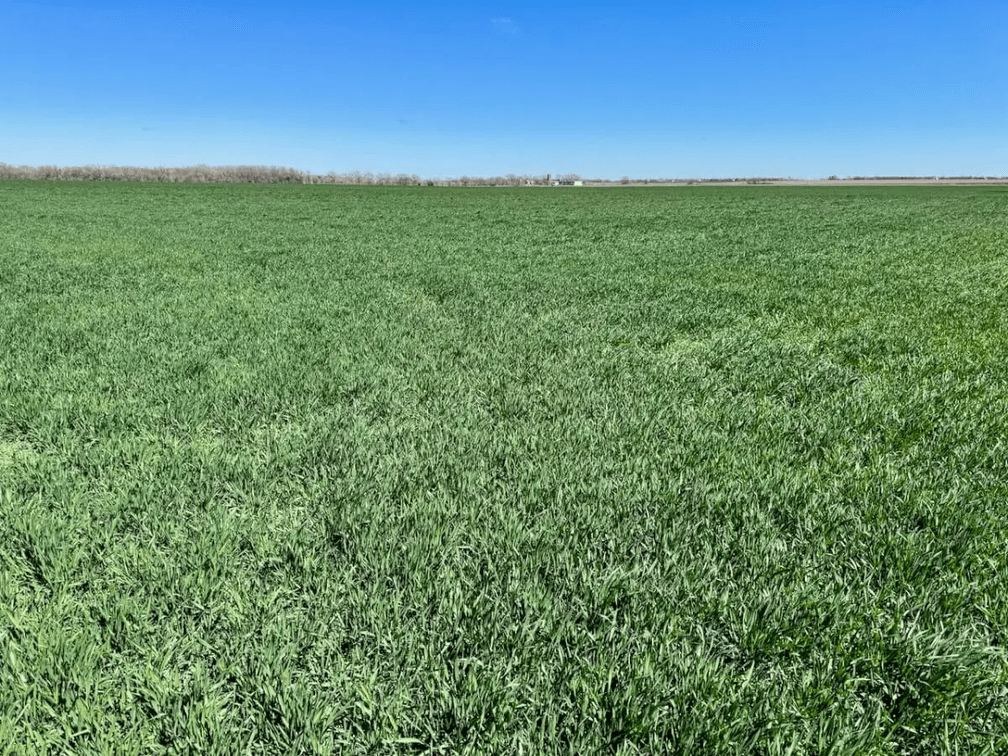 134.4 Acres West of Newton, Harvey County, Kansas photo 2
