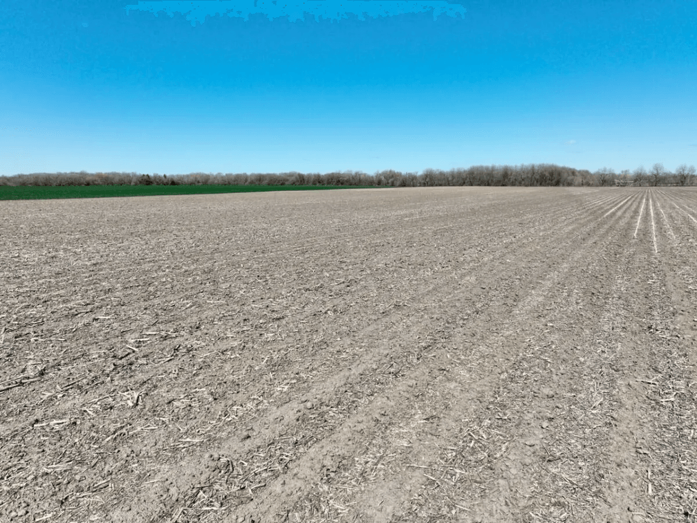 134.4 Acres West of Newton, Harvey County, Kansas photo 4