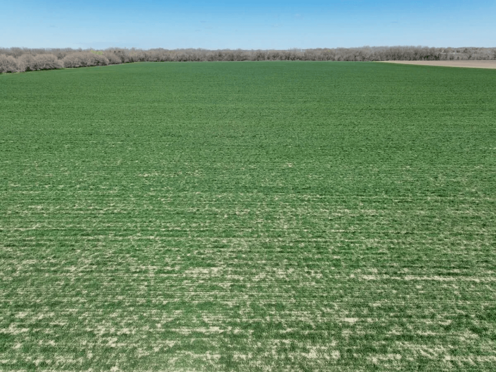 134.4 Acres West of Newton, Harvey County, Kansas photo 3