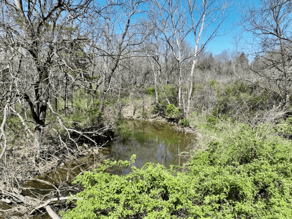 133 Acres Woodson County Kansas Land For Sale Near Toronto photo 4