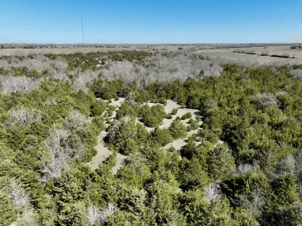 133 Acres Woodson County Kansas Land For Sale Near Toronto photo 9