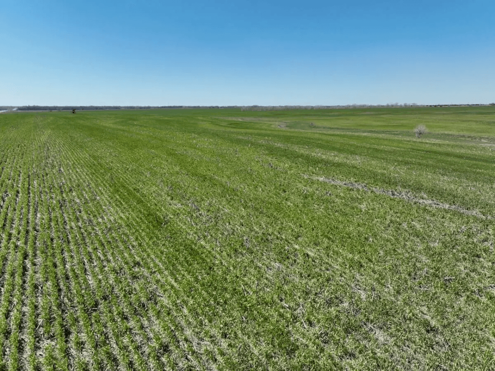 231 Acres Tillable On The Rice/McPherson County Kansas Line photo 3