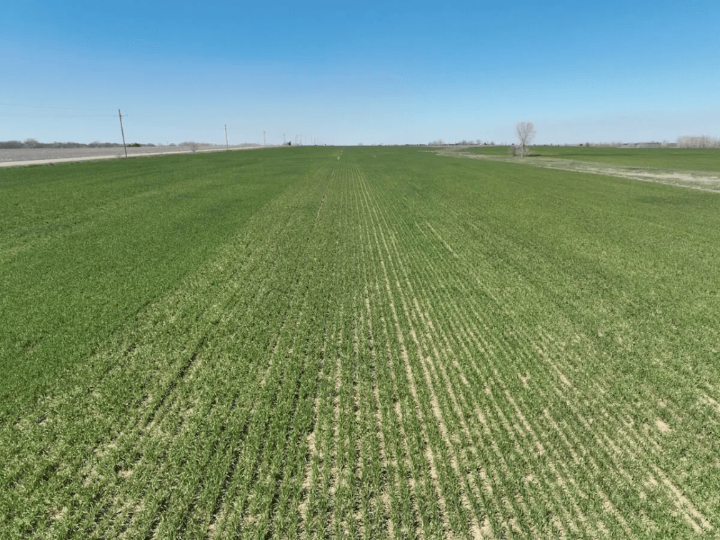 231 Acres Tillable On The Rice/McPherson County Kansas Line photo 4