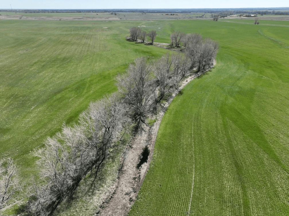 231 Acres Tillable On The Rice/McPherson County Kansas Line photo 5
