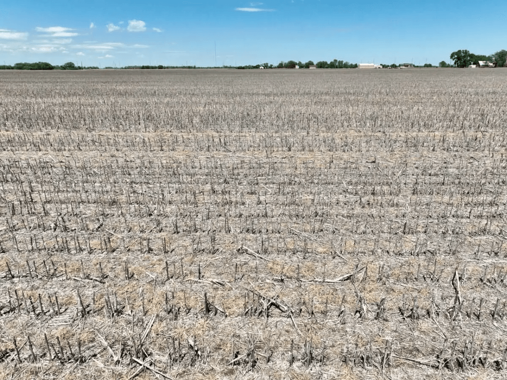 110+- Acres Tillable Near Bentley in Sedgwick County, Kansas photo 6
