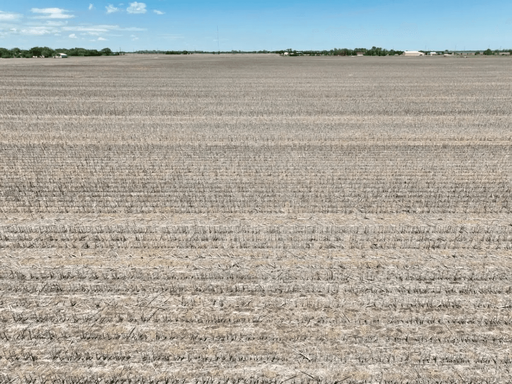 110+- Acres Tillable Near Bentley in Sedgwick County, Kansas photo 7