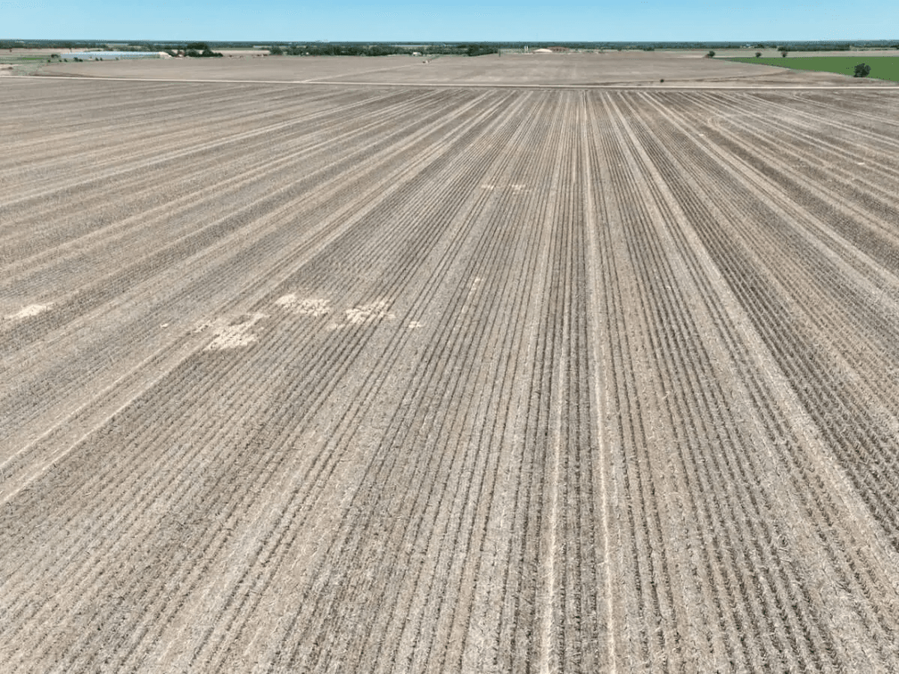110+- Acres Tillable Near Bentley in Sedgwick County, Kansas photo 8