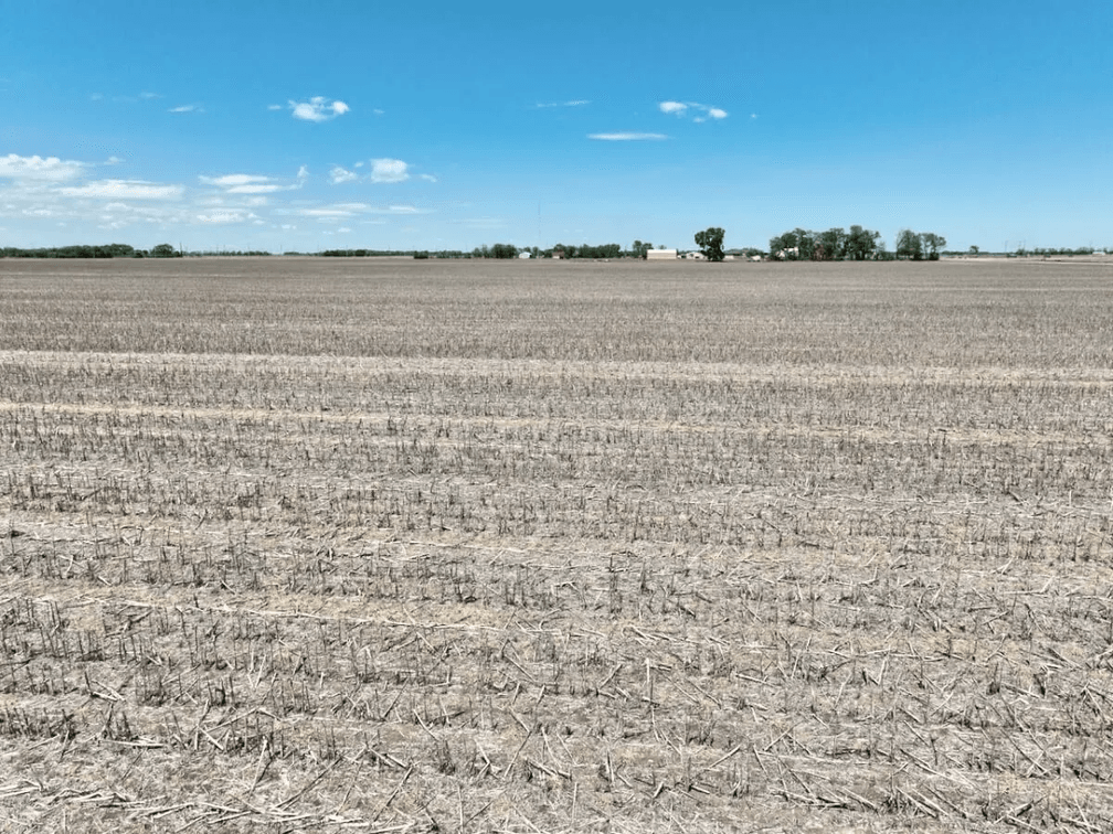 110+- Acres Tillable Near Bentley in Sedgwick County, Kansas photo 4