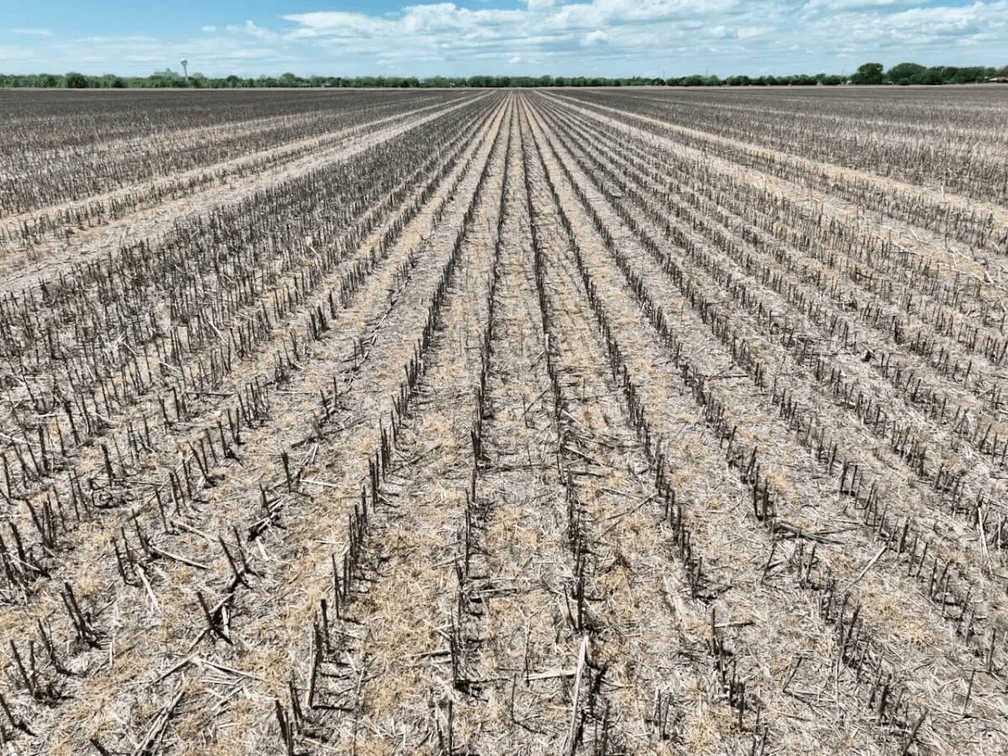 110+- Acres Tillable Near Bentley in Sedgwick County, Kansas photo 5