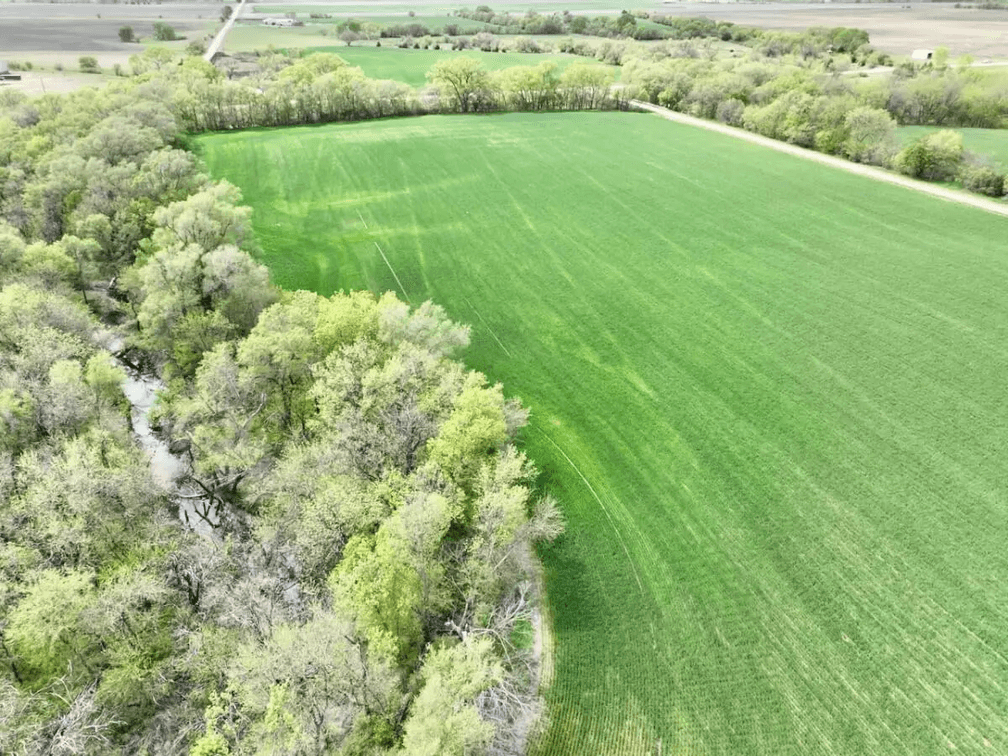 244 Acres Near Whitewater, Kansas Selling in 4 Tracts photo 4