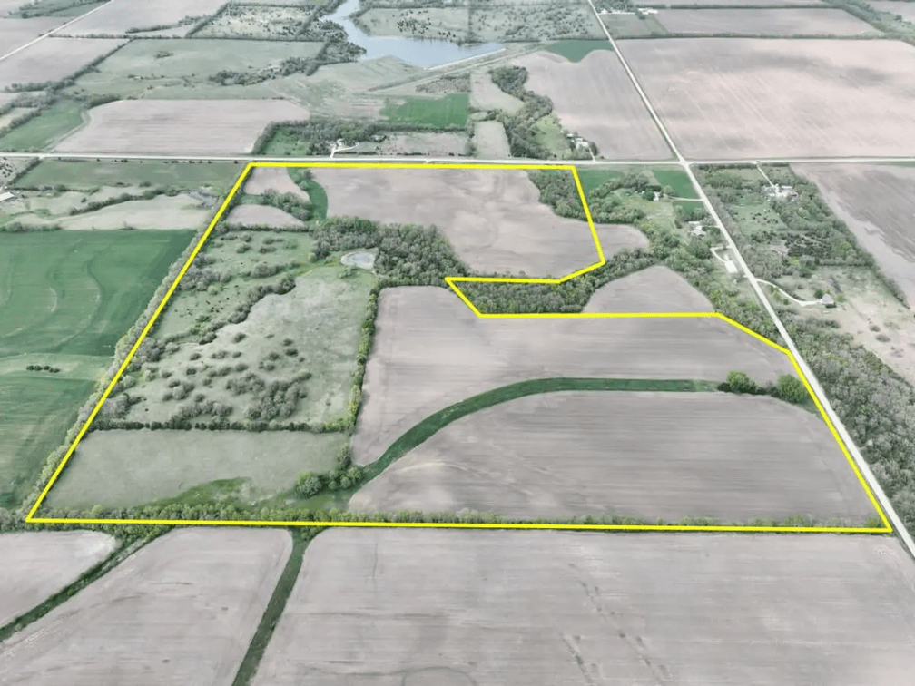244 Acres Near Whitewater, Kansas Selling in 4 Tracts photo 5
